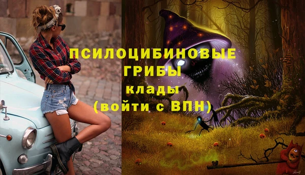 прущие крисы Волоколамск