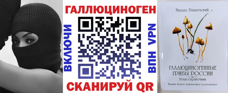 Галлюциногенные грибы Psilocybe  дарнет шоп  Новоржев 