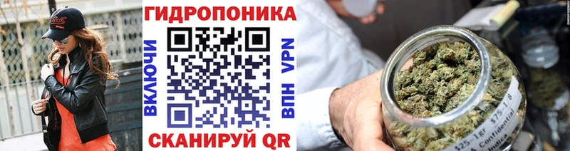 omg ссылки Новоржев МАРИХУАНА Amnesia